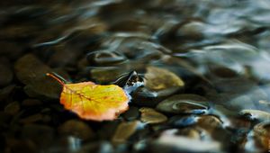 Preview wallpaper water, leaf, yellow, pebbles, transparent, stream