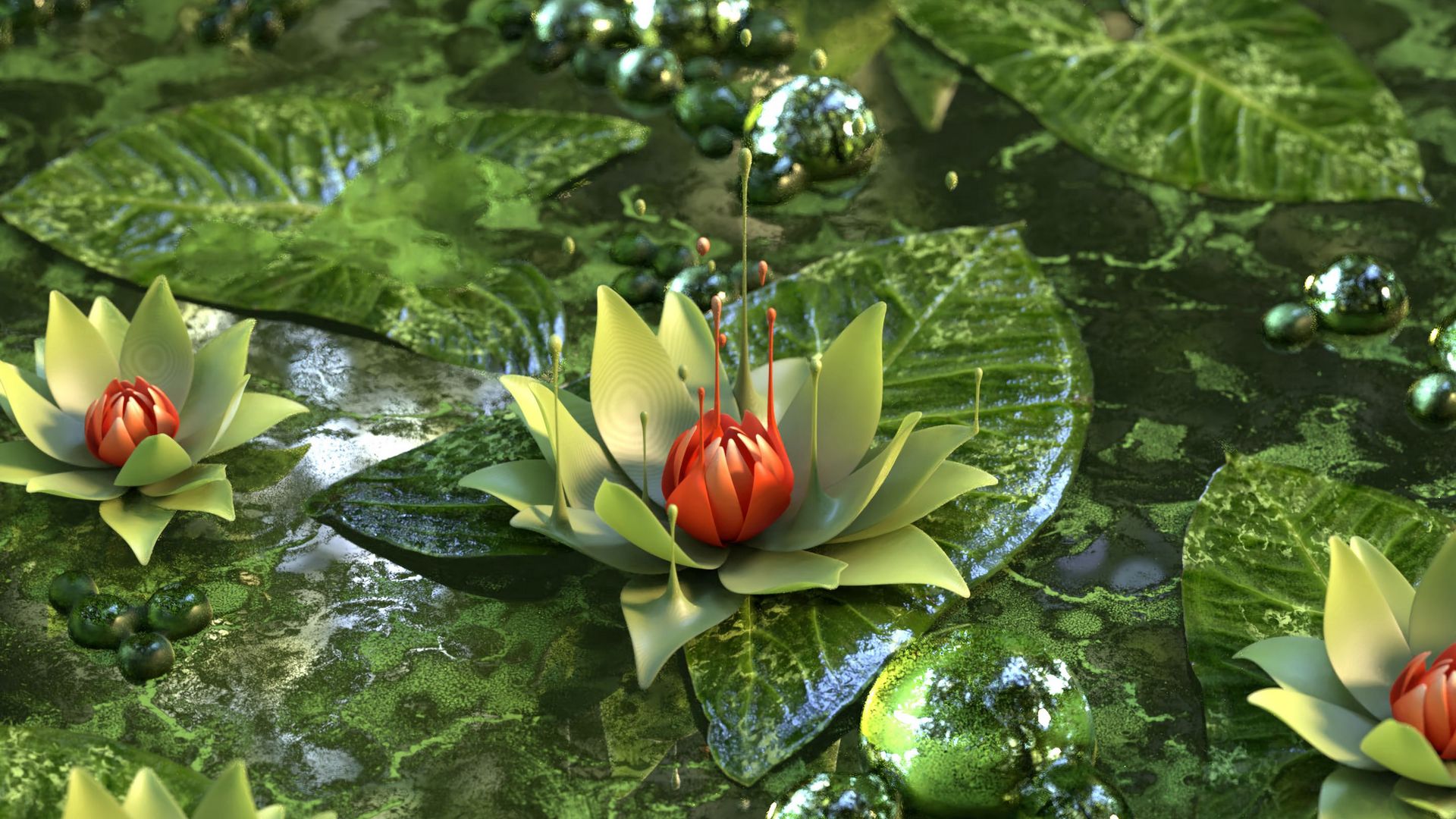 Download wallpaper 1920x1080 water lily, lotus, flower, green full hd,  hdtv, fhd, 1080p hd background