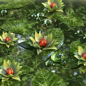 Preview wallpaper water lily, lotus, flower, green