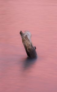 Preview wallpaper water, log, pink, minimalism, nature