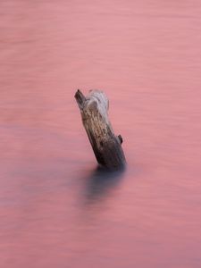 Preview wallpaper water, log, pink, minimalism, nature