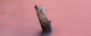 Preview wallpaper water, log, pink, minimalism, nature