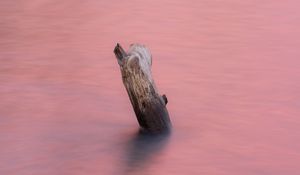 Preview wallpaper water, log, pink, minimalism, nature