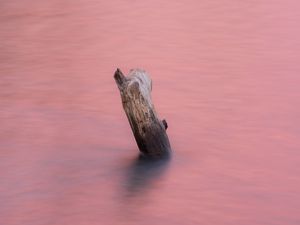 Preview wallpaper water, log, pink, minimalism, nature