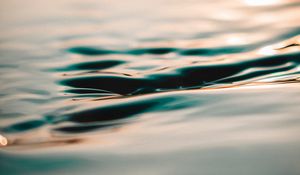 Preview wallpaper water, macro, surface, light, blur