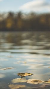 Preview wallpaper water, pond, leaves, fallen leaves, autumn