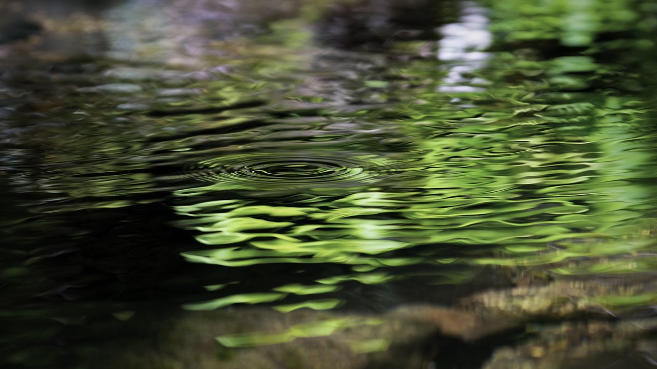 Wallpaper water, pond, ripples, circles, nature