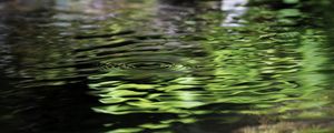 Preview wallpaper water, pond, ripples, circles, nature