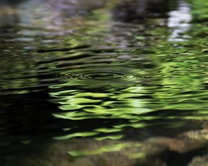 Preview wallpaper water, pond, ripples, circles, nature