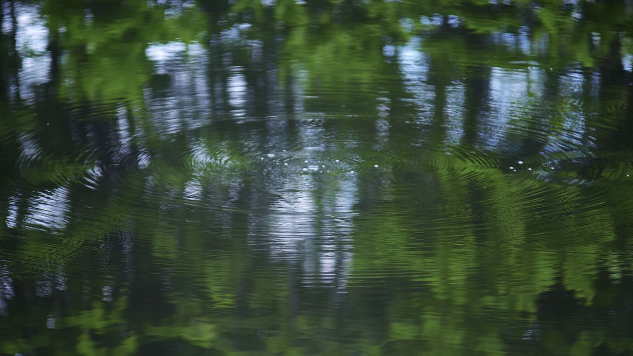 Wallpaper water, pond, ripples, circles