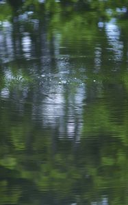 Preview wallpaper water, pond, ripples, circles