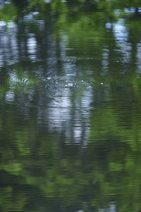 Preview wallpaper water, pond, ripples, circles