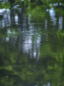 Preview wallpaper water, pond, ripples, circles