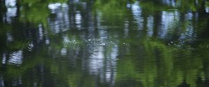 Preview wallpaper water, pond, ripples, circles