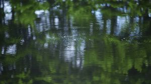 Preview wallpaper water, pond, ripples, circles