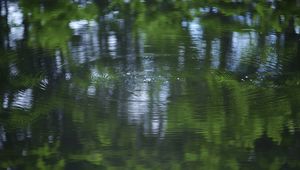 Preview wallpaper water, pond, ripples, circles