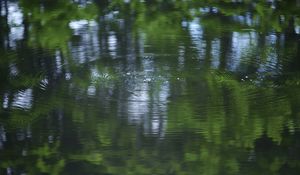 Preview wallpaper water, pond, ripples, circles