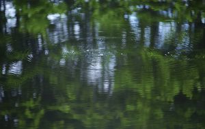 Preview wallpaper water, pond, ripples, circles