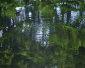 Preview wallpaper water, pond, ripples, circles