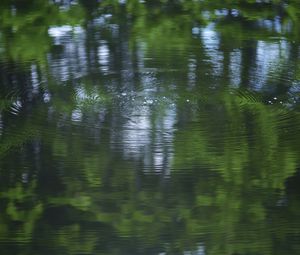 Preview wallpaper water, pond, ripples, circles