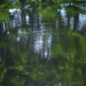 Preview wallpaper water, pond, ripples, circles