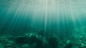 Preview wallpaper water, rays, bottom, algae