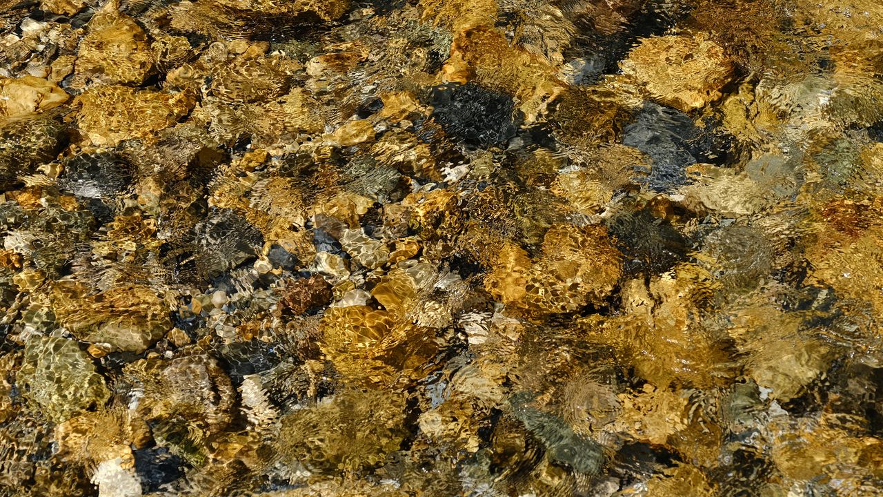 Wallpaper water, ripples, bottom, stones, transparent