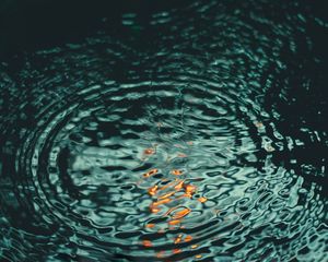 Preview wallpaper water, ripples, circles, sea