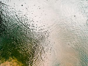 Preview wallpaper water, ripples, circles, waves, macro