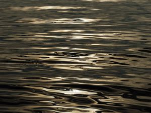 Preview wallpaper water, ripples, glare, sea, dark