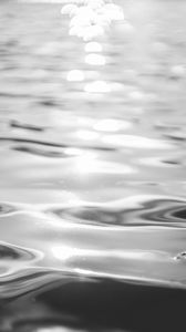 Preview wallpaper water, ripples, light, bw