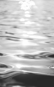 Preview wallpaper water, ripples, light, bw