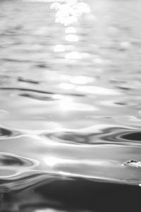 Preview wallpaper water, ripples, light, bw