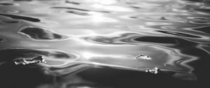 Preview wallpaper water, ripples, light, bw