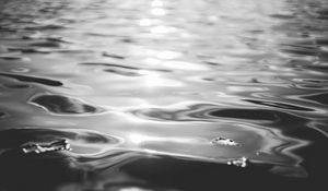 Preview wallpaper water, ripples, light, bw