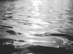 Preview wallpaper water, ripples, light, bw