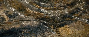 Preview wallpaper water, ripples, stones, distortion
