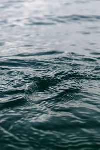 Preview wallpaper water, ripples, surface, blur