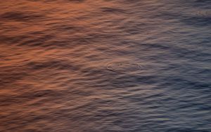 Preview wallpaper water, ripples, surface, body of water