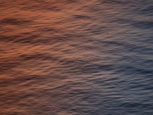 Preview wallpaper water, ripples, surface, body of water