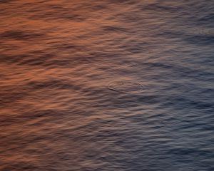 Preview wallpaper water, ripples, surface, body of water