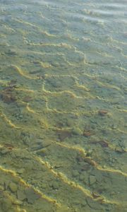 Preview wallpaper water, ripples, transparent, bottom