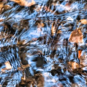 Preview wallpaper water, ripples, transparent, macro
