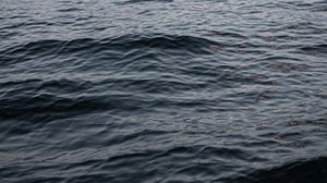Preview wallpaper water, ripples, waves, macro