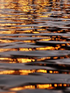 Preview wallpaper water, river, liquid, waves, ripples