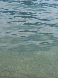 Preview wallpaper water, river, stones, bottom, nature
