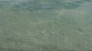Preview wallpaper water, river, stones, bottom, nature