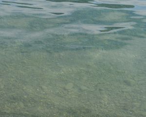 Preview wallpaper water, river, stones, bottom, nature