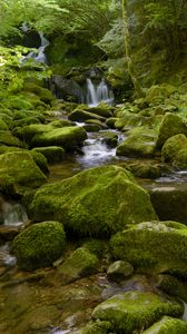 Preview wallpaper water, river, waterfall, stones, moss, greenery, nature