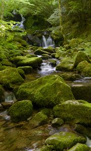 Preview wallpaper water, river, waterfall, stones, moss, greenery, nature